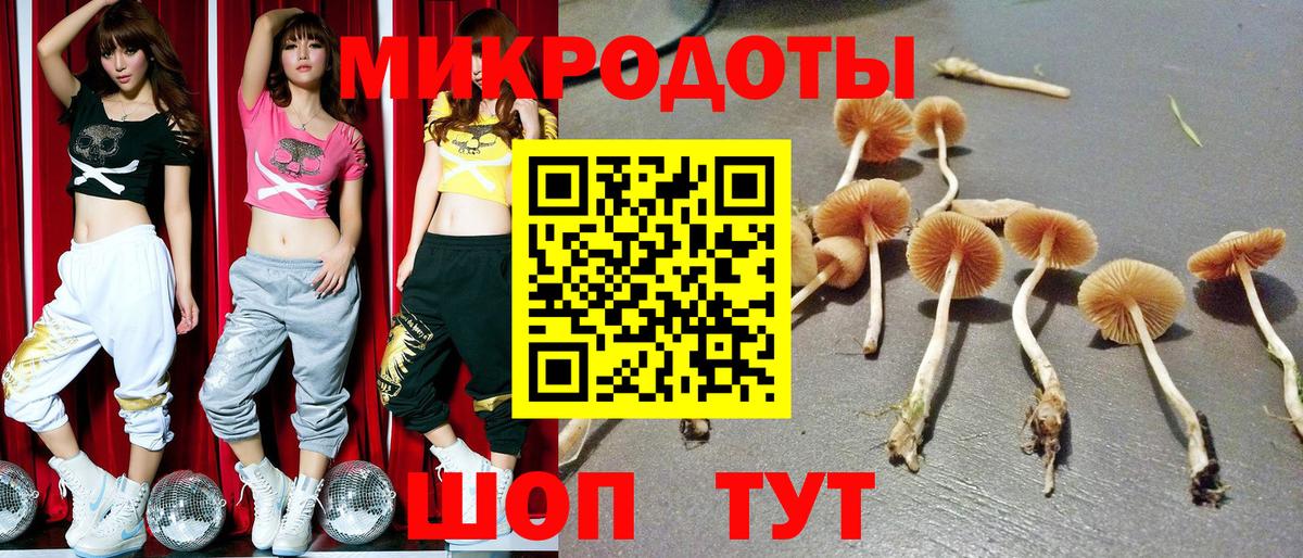 Галлюциногенные грибы Magic Shrooms Жигулёвск