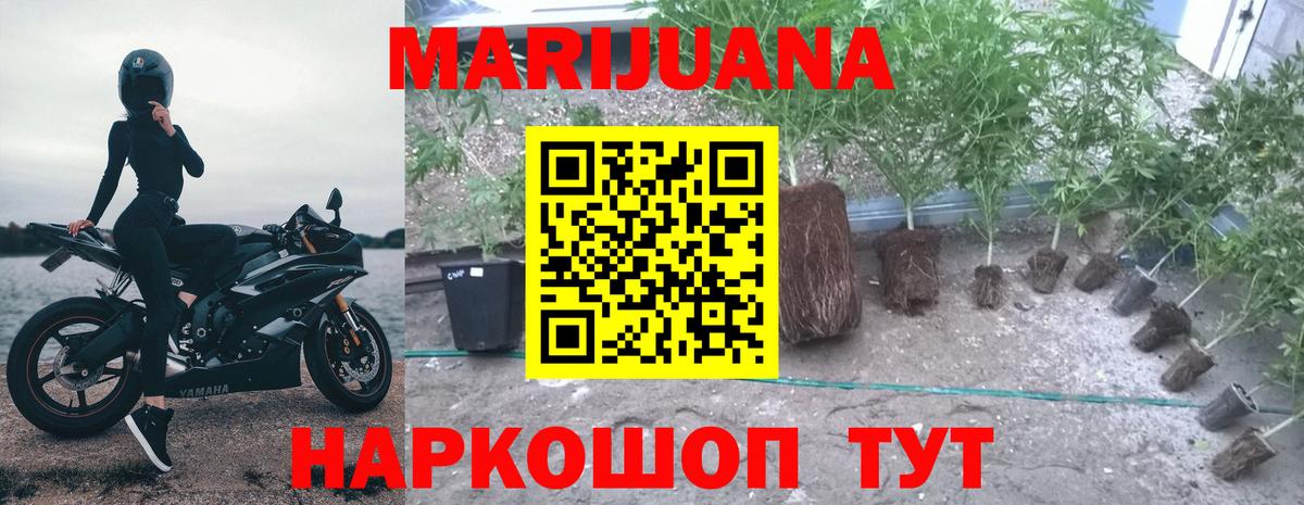 Жигулёвск  Бошки марихуана планчик  Бошки марихуана THC 21%  Вход с VPN 